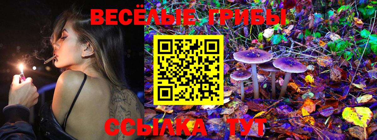 Псилоцибиновые грибы MAGIC MUSHROOMS  Вход с VPN  Верхняя Салда 