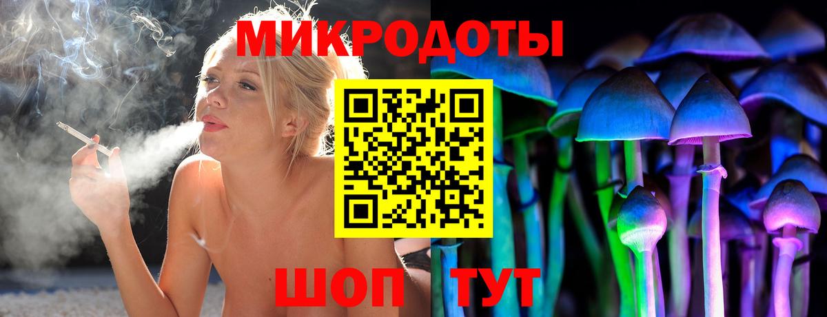 Псилоцибиновые грибы Cubensis Верхняя Салда